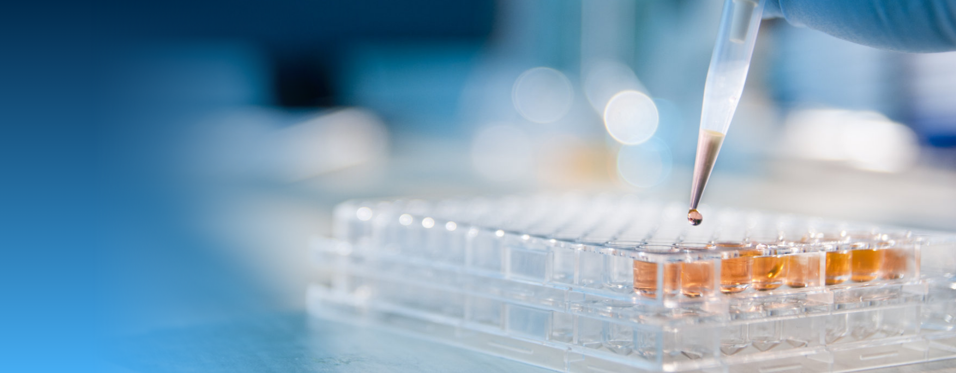 創(chuàng)新與服務